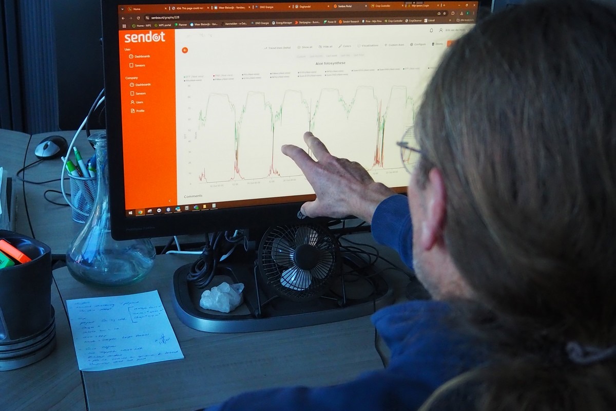 NL: Grower tracks plant growth curve in new data portal Sendot