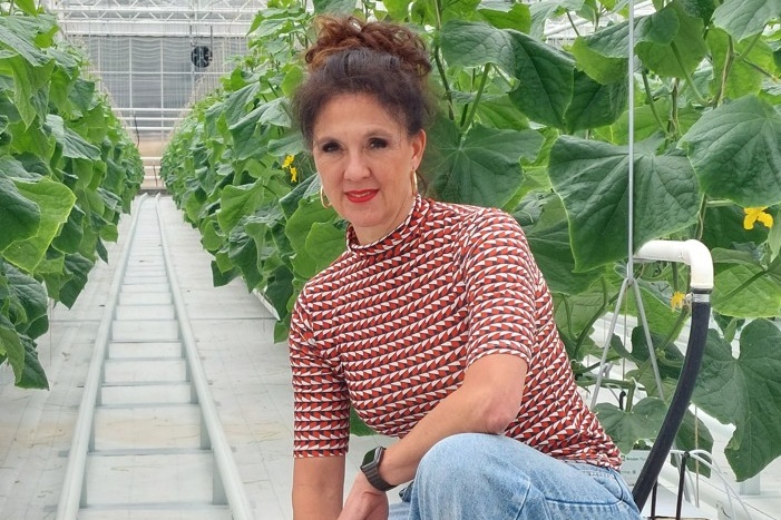 Risky trends in the French greenhouse industry: “Insurance is more than just payouts”