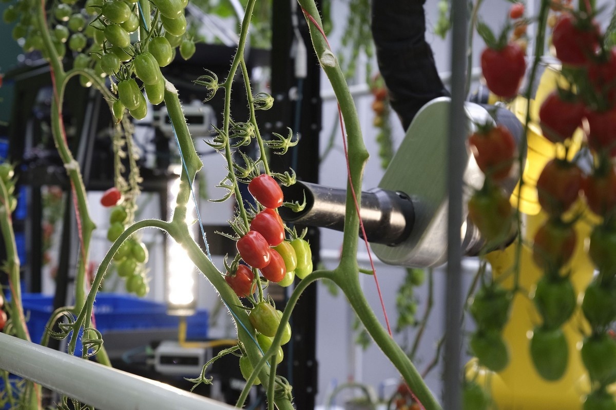 Automatisering en betere arbeidsvoorwaarden in strijd tegen personeelstekort