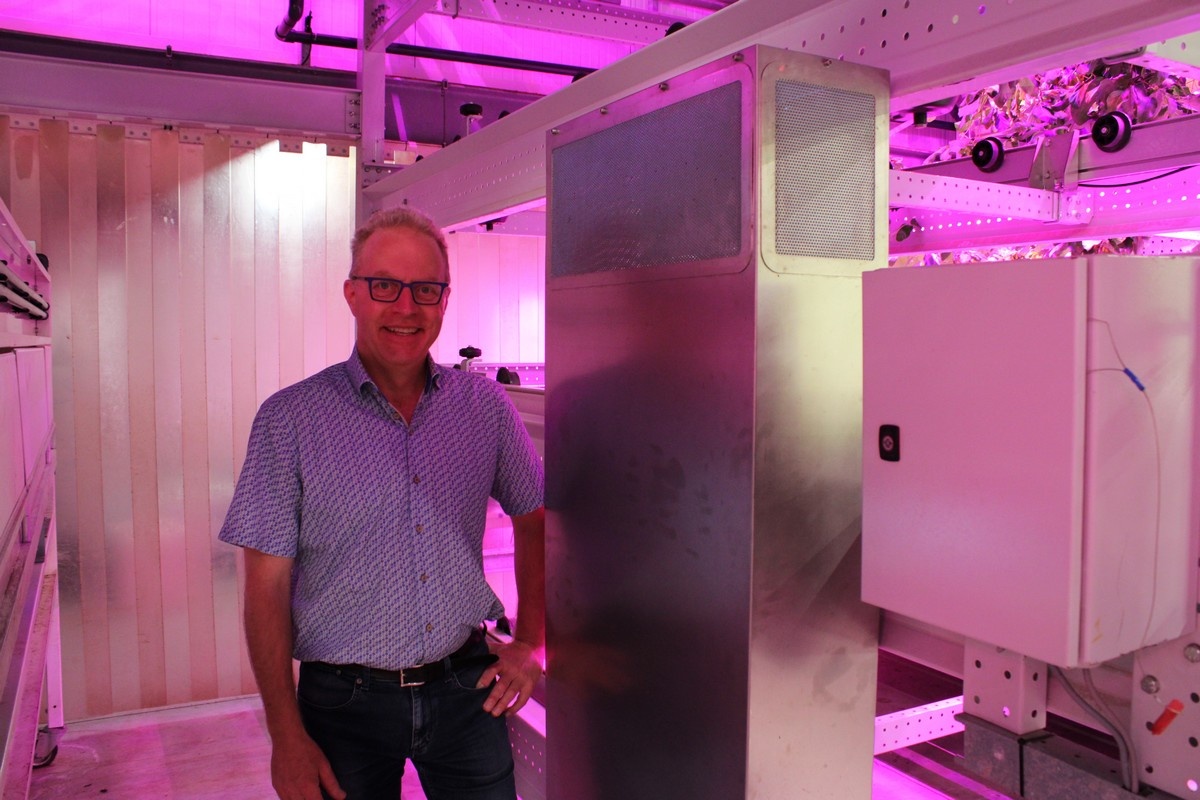Ozone as an all-round plant protection product