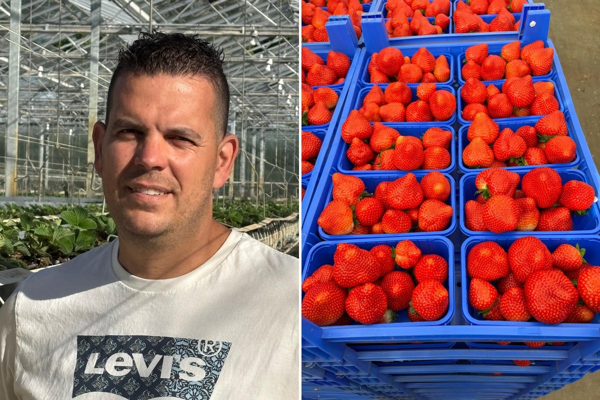 "I can say that it is easy, but for growers, it remains quite a step"