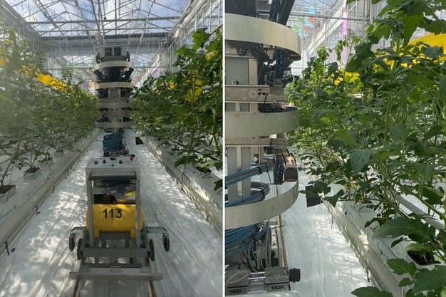 Pollination robot gets to work in greenhouse with closed screens