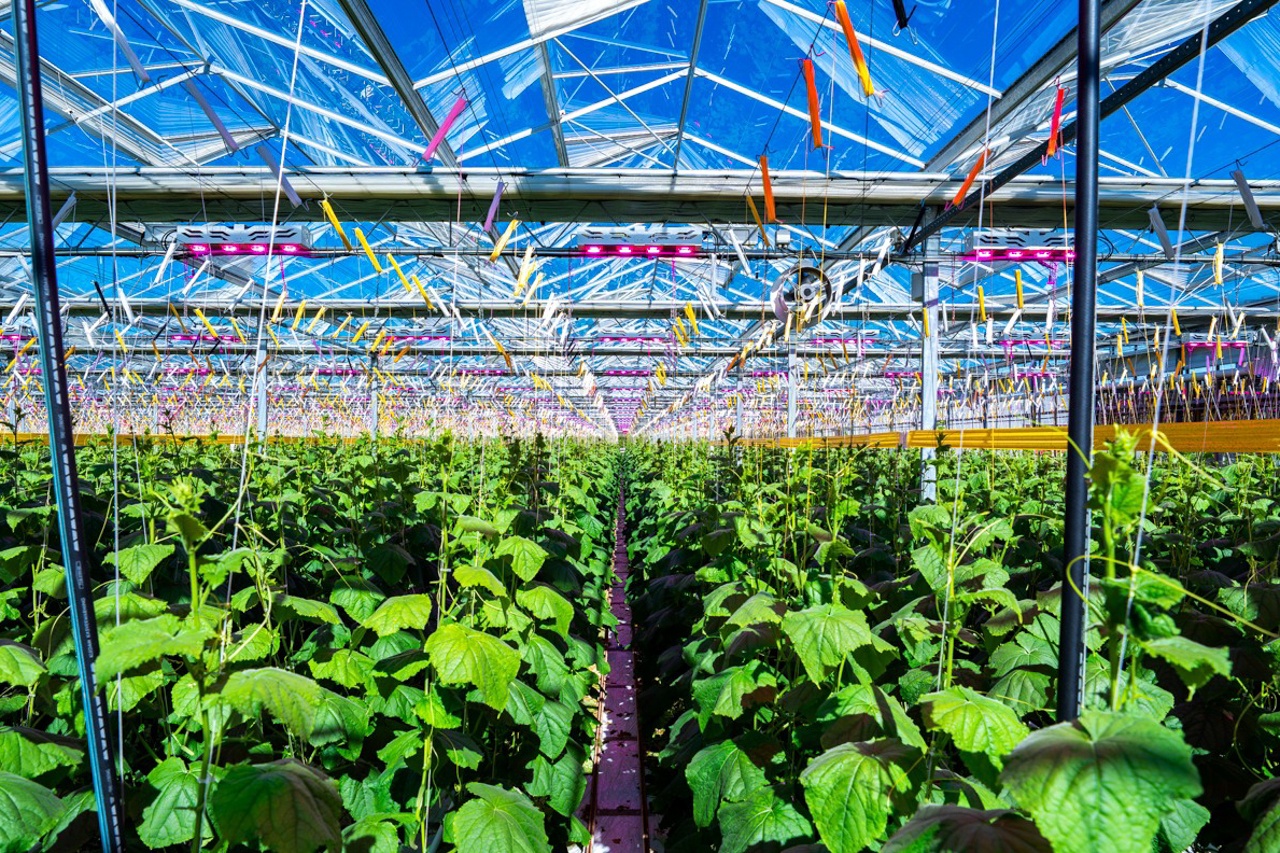 Financiële gegevens land- en tuinbouw 2023 definitief