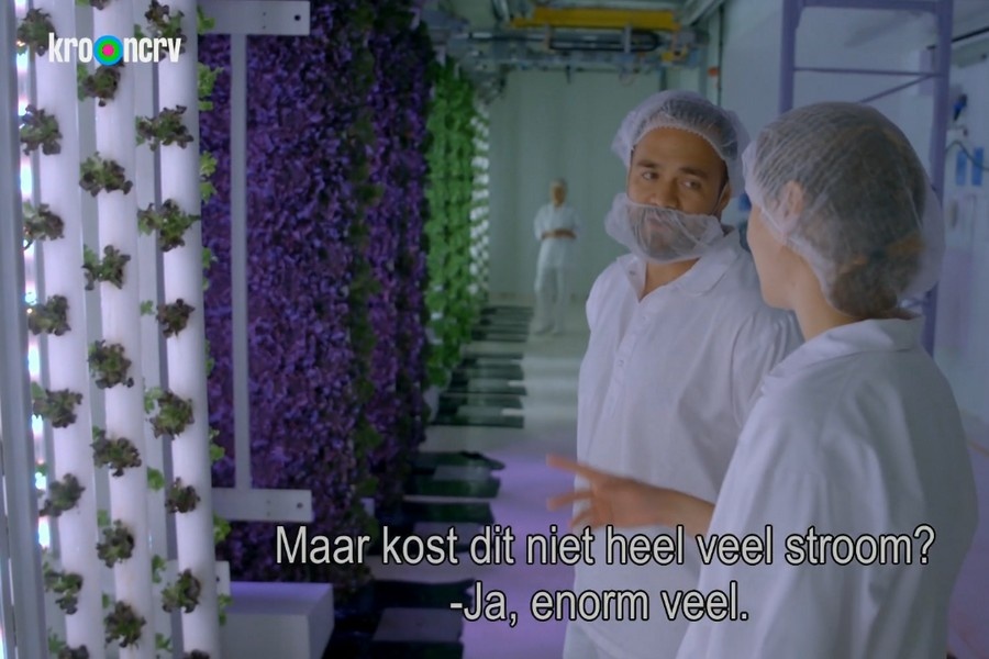 "Een verward, gestrest plantje geeft misschien wel de beste sla ooit"
