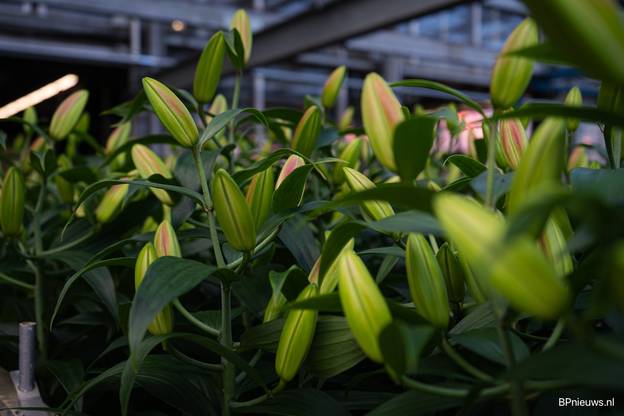 Exporteur naar China? Houd rekening met nieuwe eisen