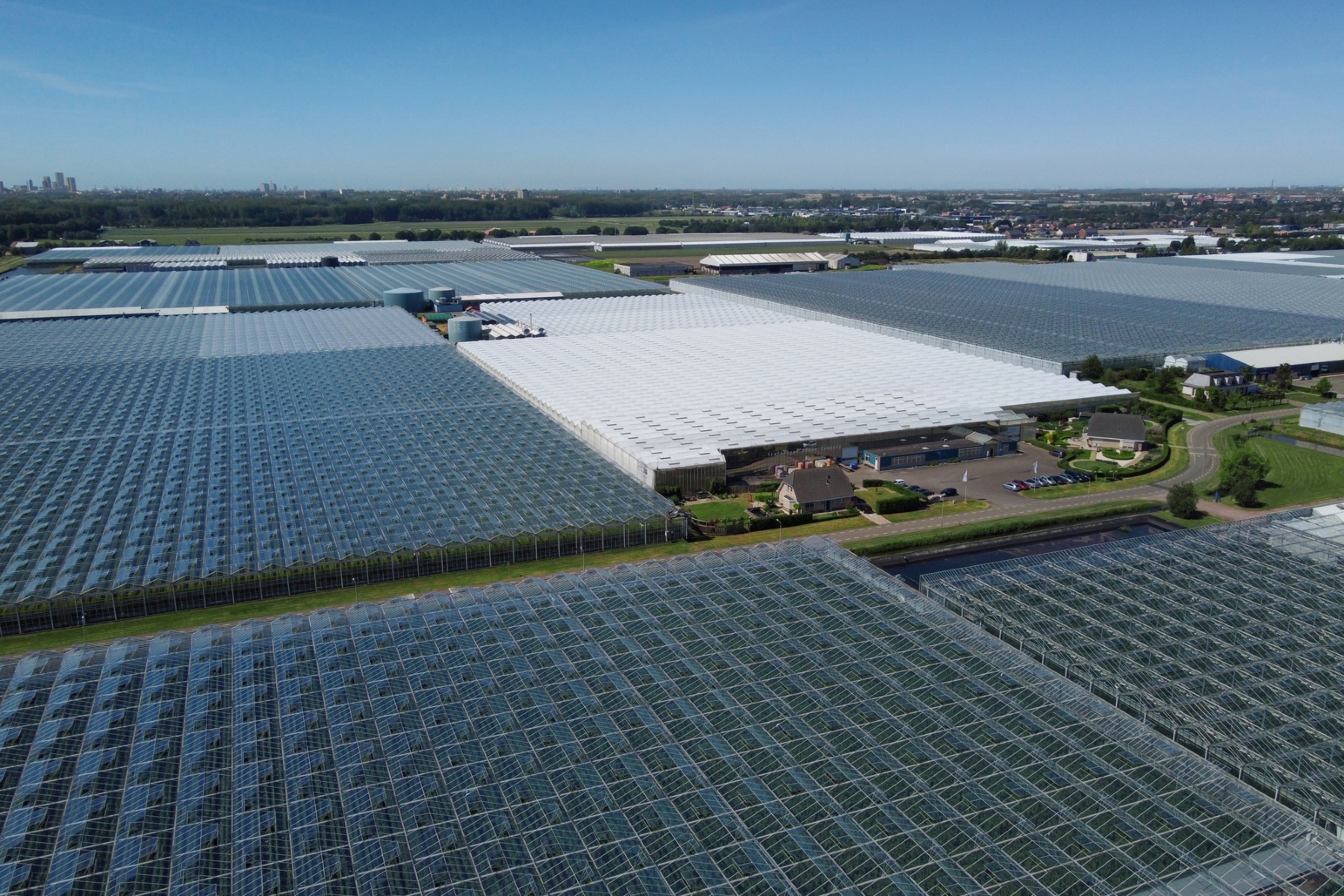 Tuinbouw omarmt rapport Wennink: "De beuk er in"