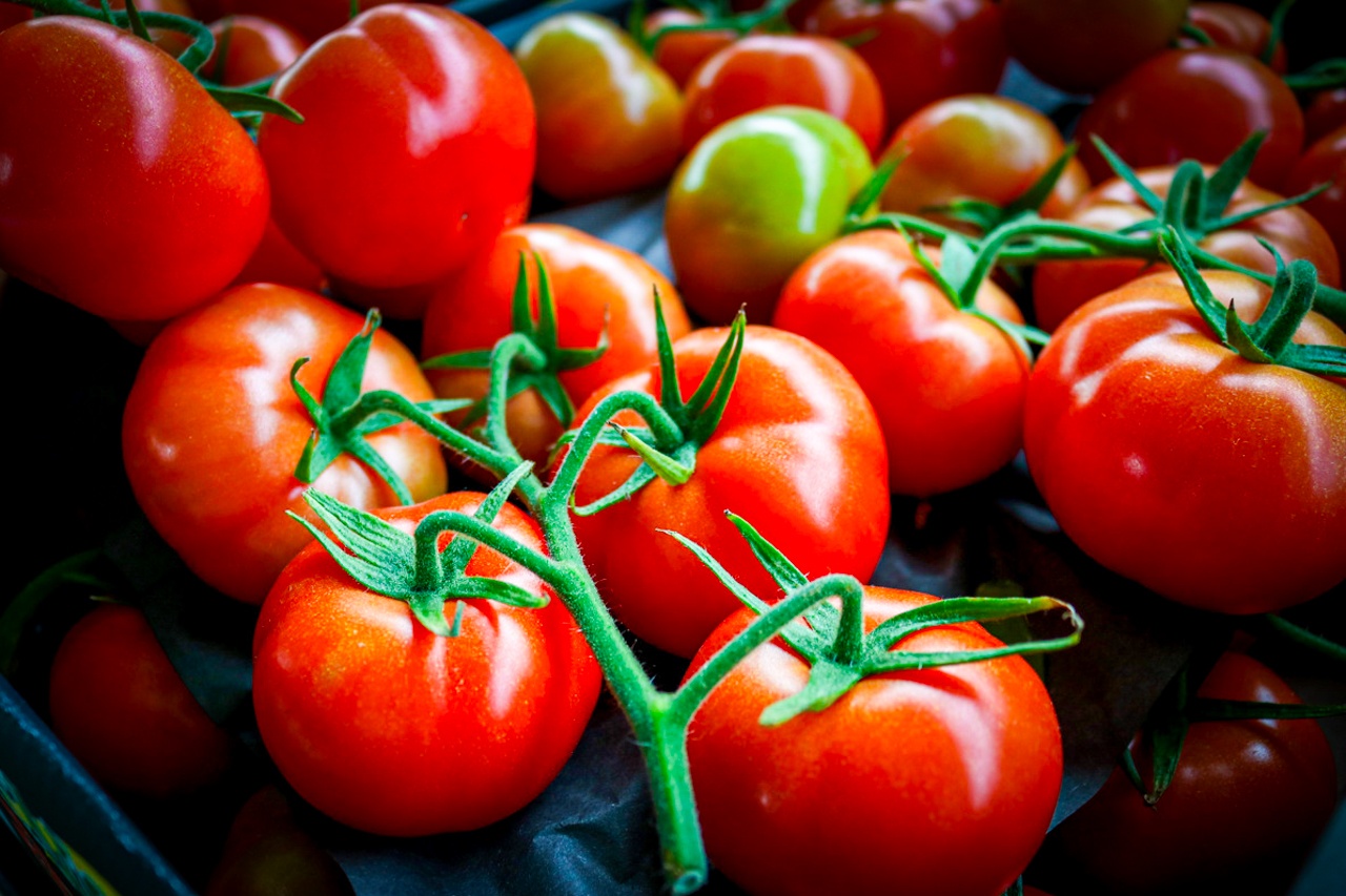Tomaten duurder met Kerst, komkommerprijs blijft hoog