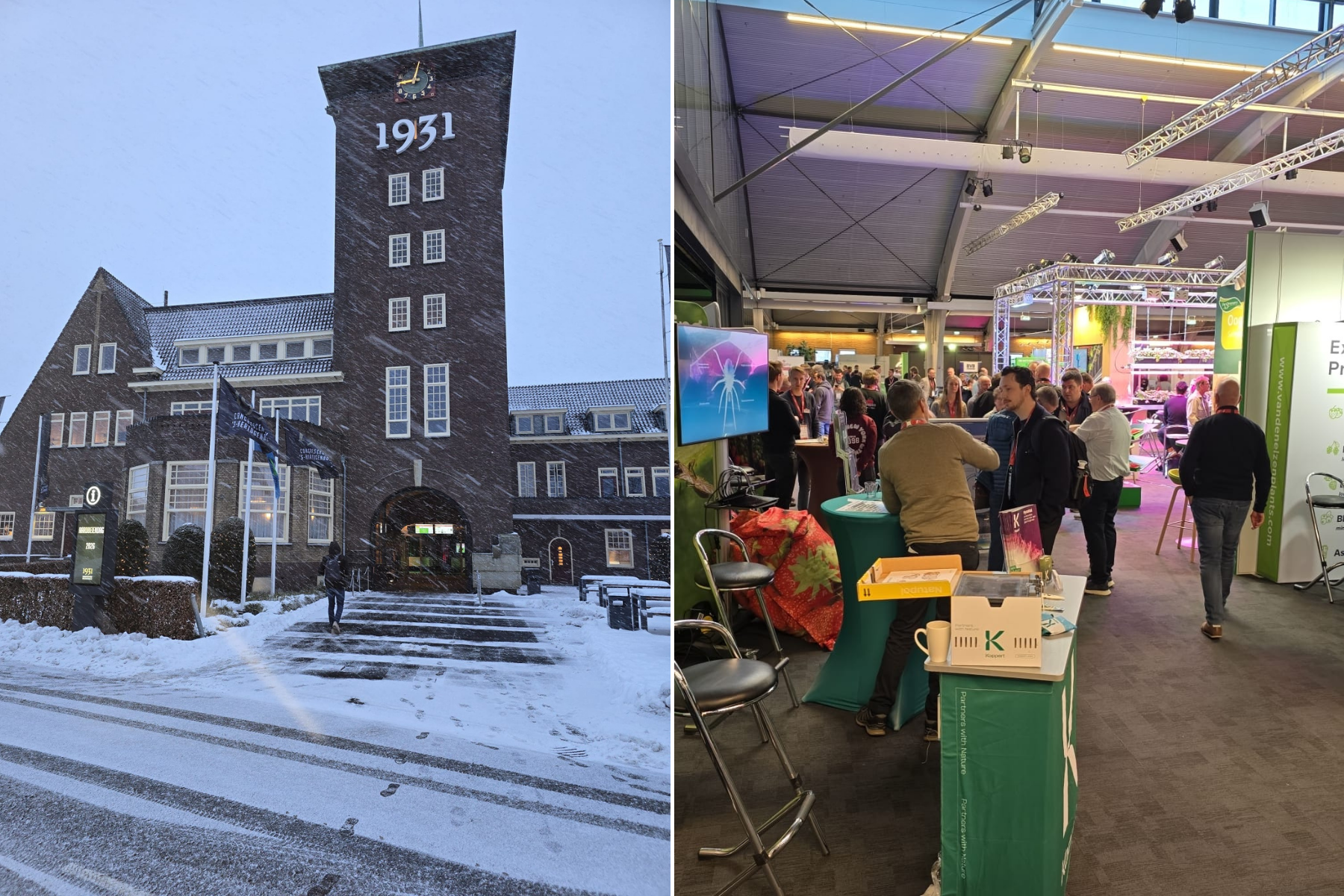 Aardbeiendag van start in winters Den Bosch