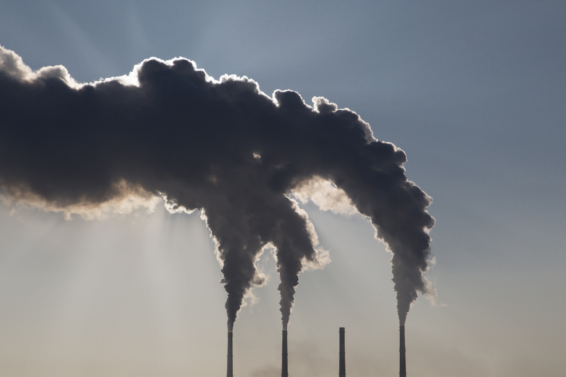 Welke industrie past wel in toekomstig Nederland en welke niet?