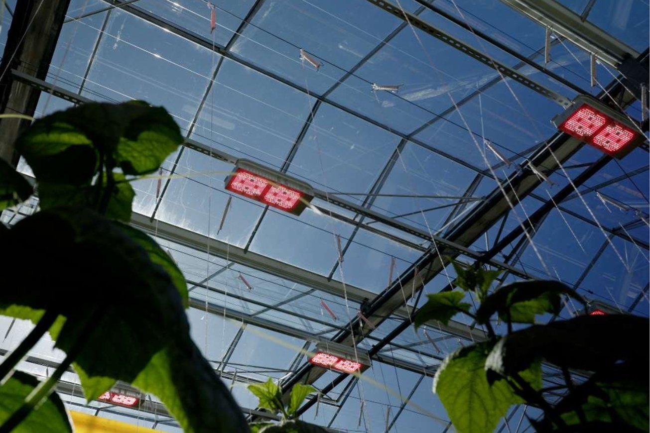 Gavita International launches Agrolux Operating System