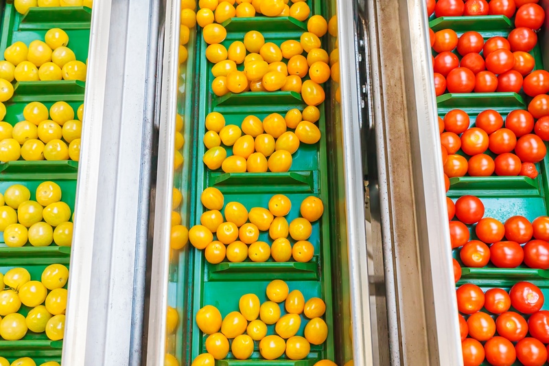 Hogere aanvoer specialtytomaten in eerste week februari