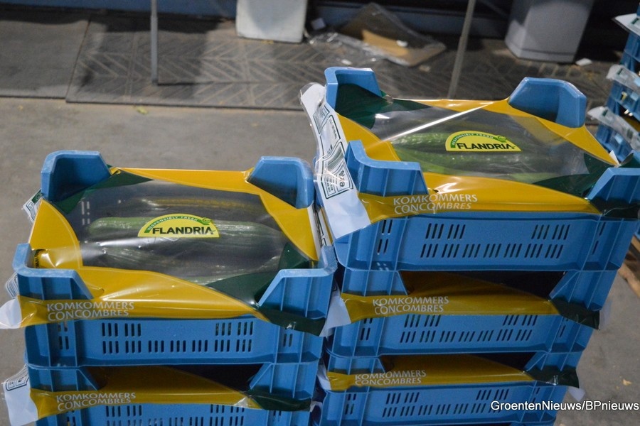 Komkommerprijs hoog, maar het kan nog gekker