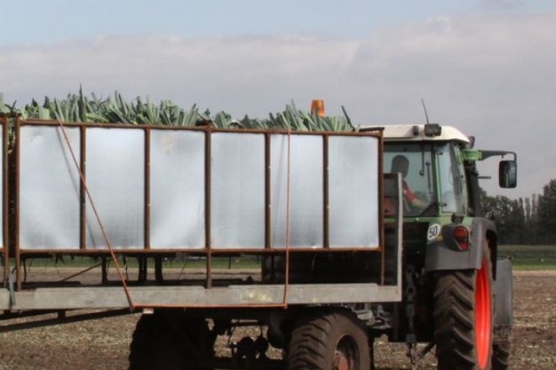 Genson Group stopt medio 2026 met preiteelt