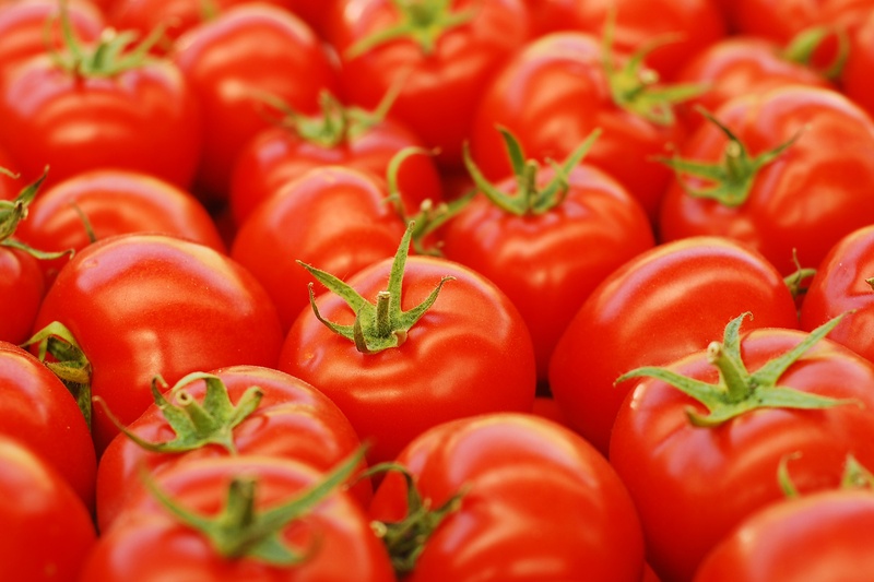 Hoger volume losse tomaten beter betaald dan vorig jaar