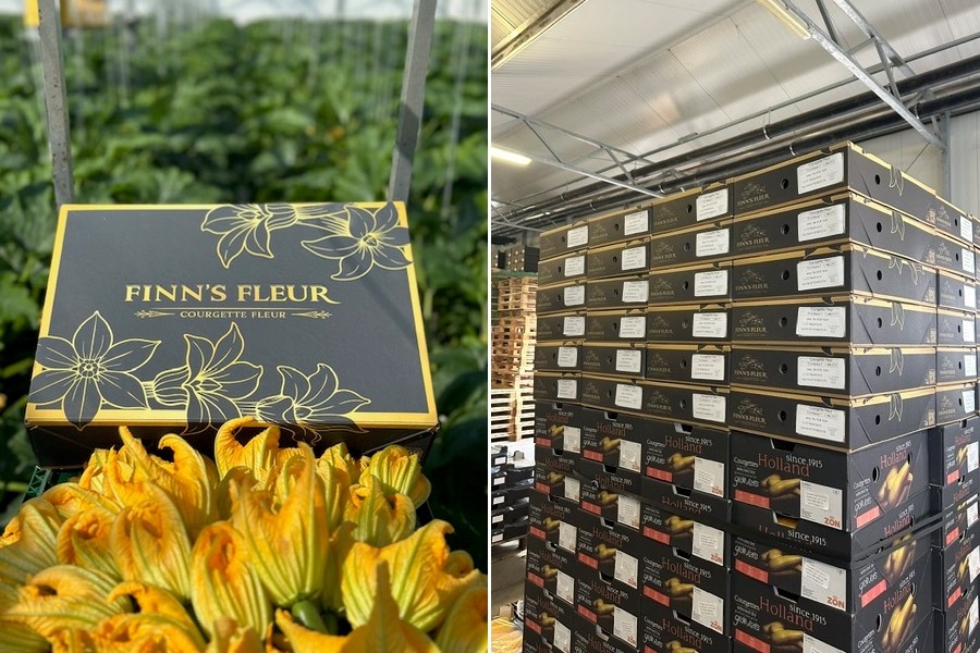 Finn’s courgettespecialties voortaan de wereld over in nieuwe merkverpakking