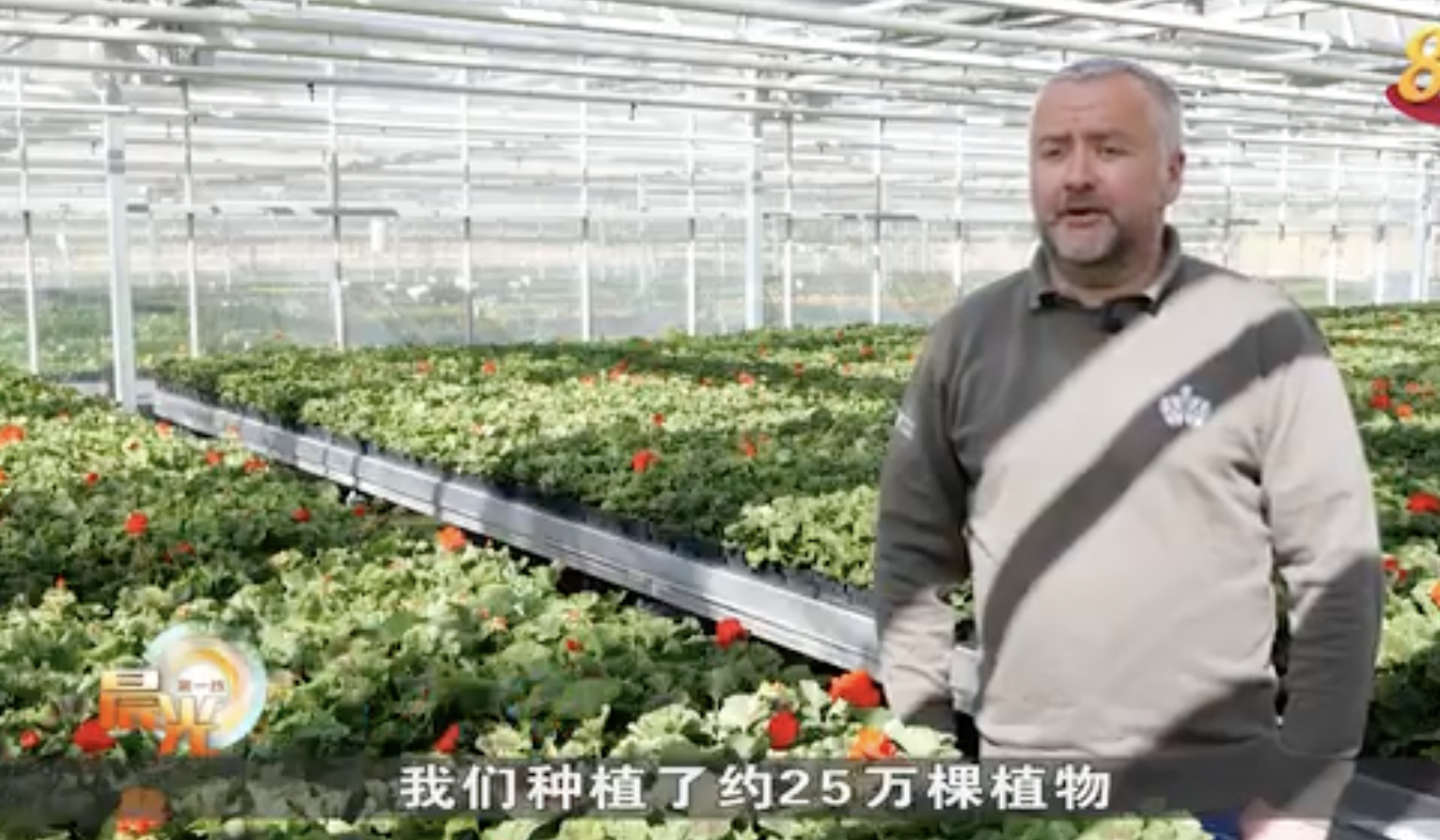 英皇家公园温室可种45万棵植物