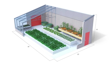 aquaponic greenhouse layout
