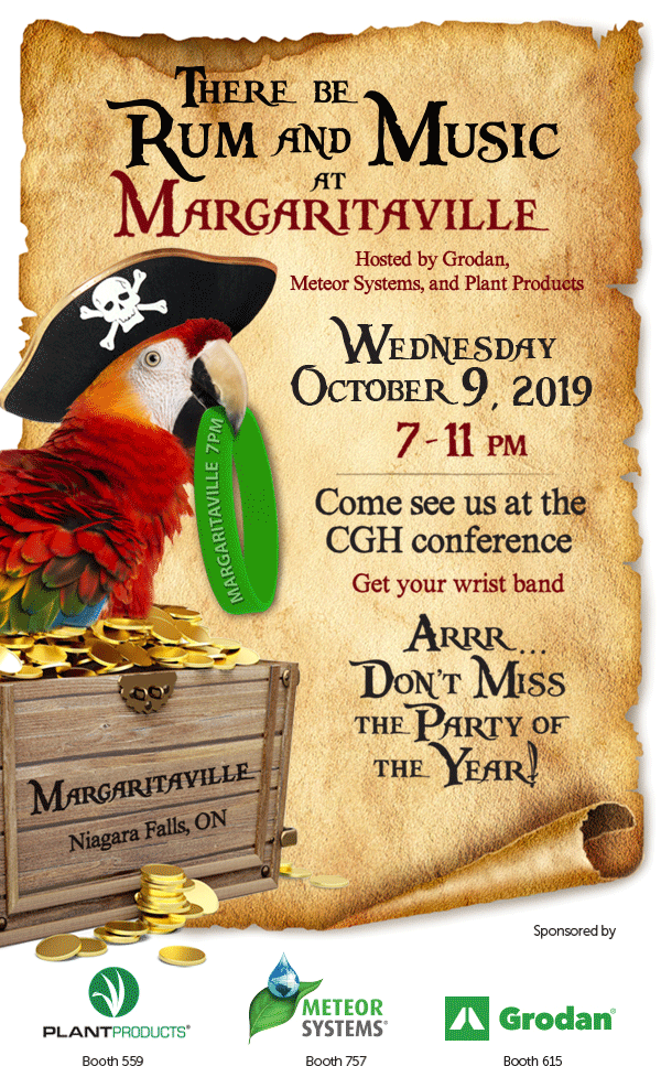 Rum and music at Margaritaville