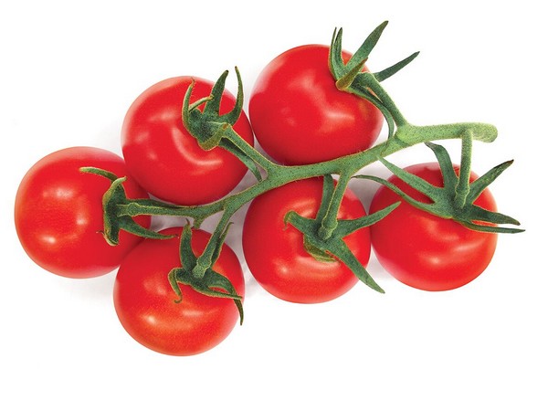 New tomato varieties launched at Fruit Logistica