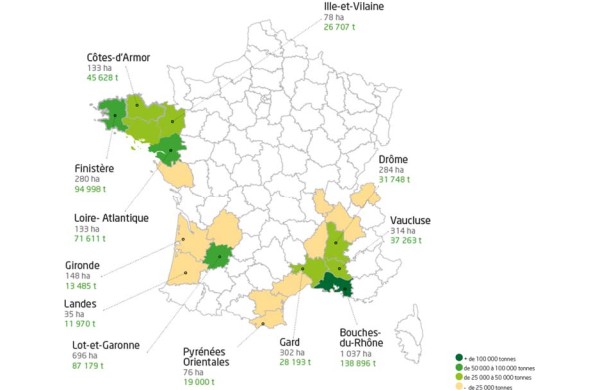 Anses Proposes Measures To Keep Tobrfv Out Of France