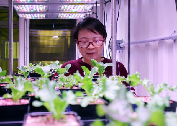 Texas A M Agrilife Expands Urban Agriculture Research