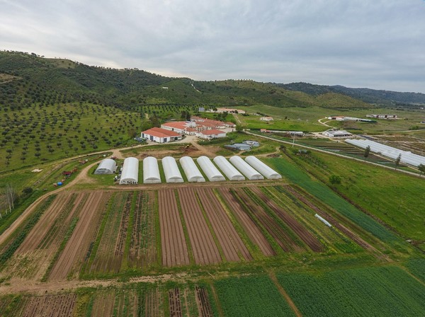 Ramping Up Organic Seed Production In Portugal