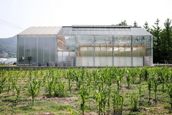 Glasshouse Laboratory For Herb Research Completed In South Korea