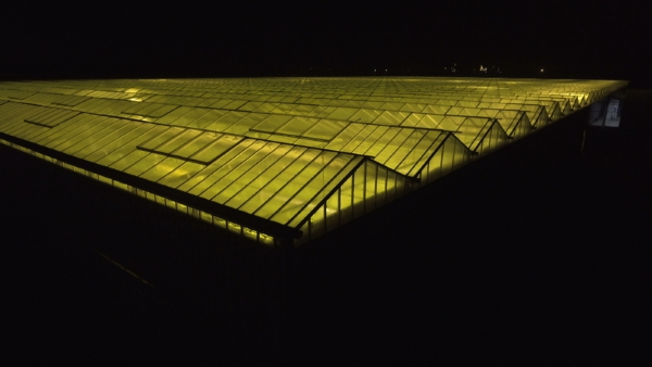 greenhouse light pollution
