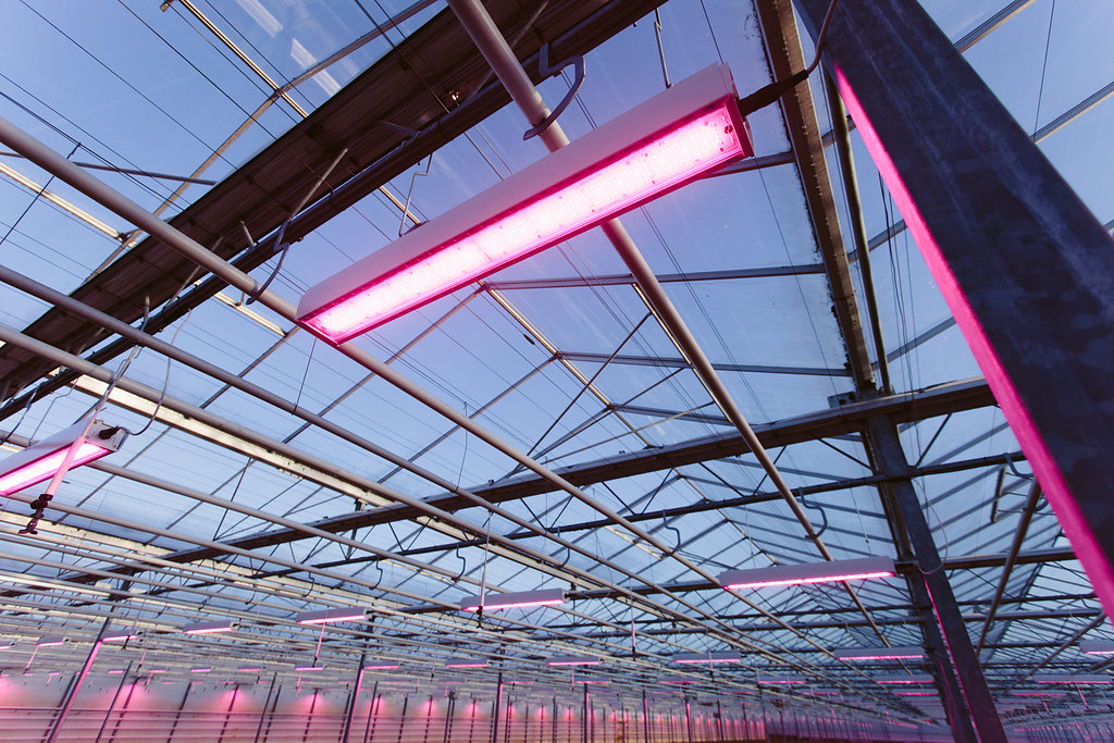 led greenhouse lights
