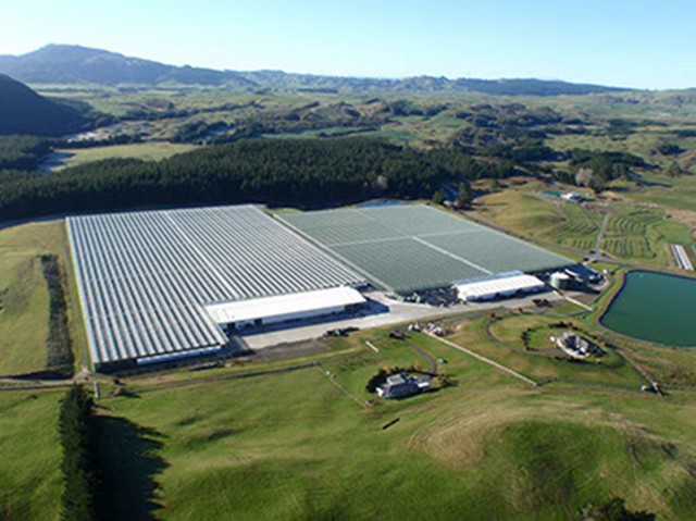 greenhouse aerial view