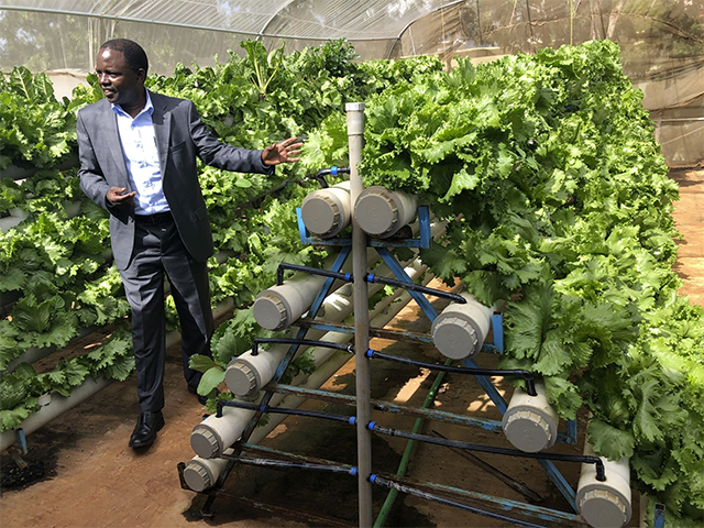 Bringing hydroponics to Kenya - Vimarsana News