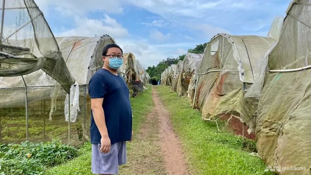 How climate change can threaten food production in Singapore - Vimarsana News