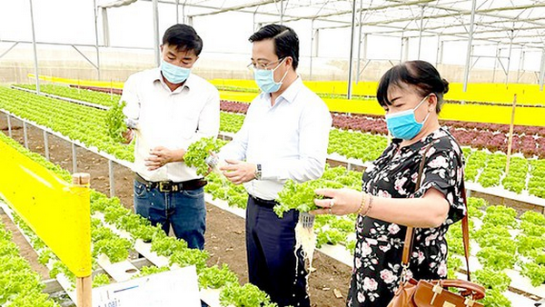 Vietnam: Lam Dong cooperates to prepare supply of vegetables, flowers for Tet market - Vimarsana News