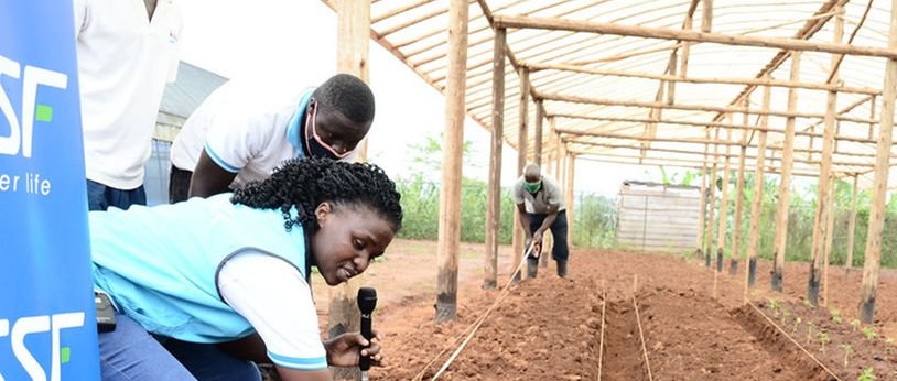 Greenhouse recommended as essential for vegetable growers in Uganda - Vimarsana News