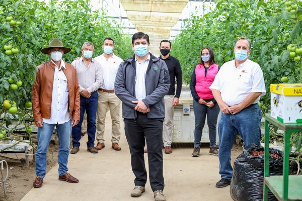 Costa Rica exports first container with greenhouse tomatoes to US - Vimarsana News