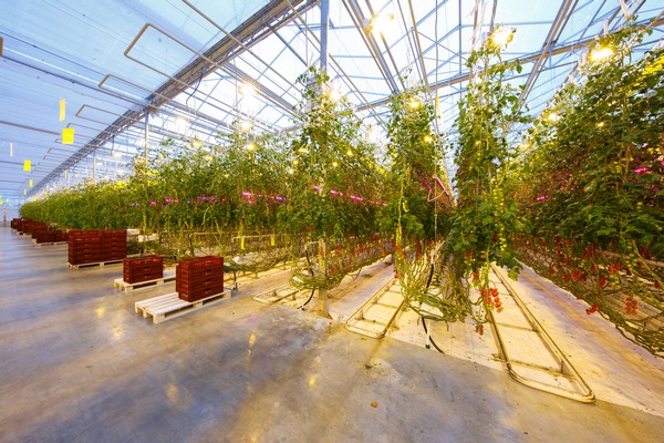 1Pc Silver Plant Reflective Film Plant Grow Light Garden Greenhouse Anti-Heat N3 