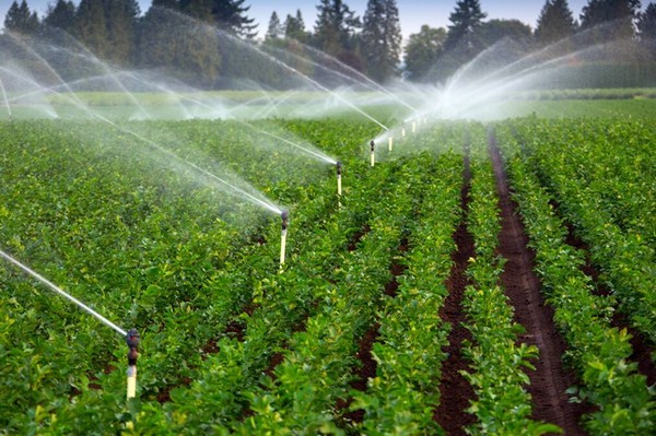 the best automatic irrigation system in China