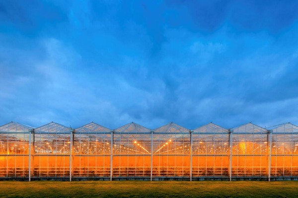 Helping indoor farms benchmark sustainability metrics – Green Reporter