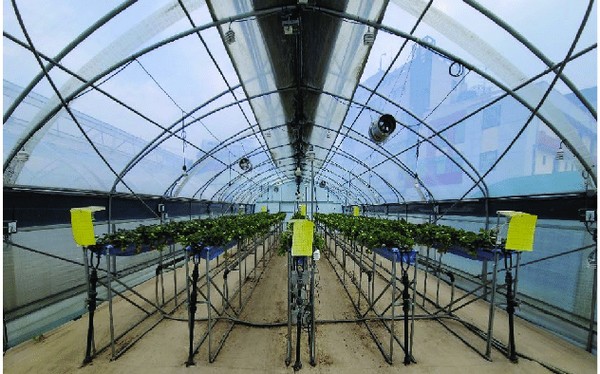 Hortidaily: global greenhouse news