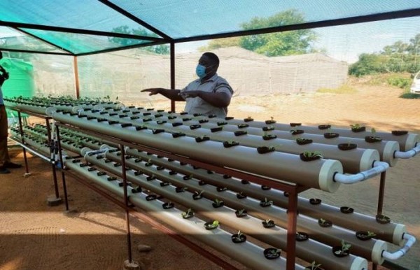 Botswana project to create more food security - Vimarsana News