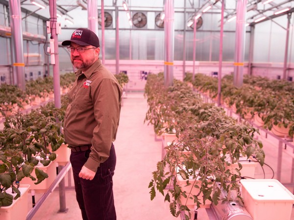 Oregon's Own Tomatoes is bringing tomatoes to Salem year-round - Vimarsana News