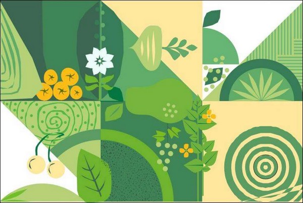 Roadmap to strengthen the vegetables sector in Benin, Africa - Vimarsana News