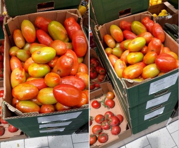 Maltese farmers displeased by "careless import" of ToBRFV-infected tomatoes - Vimarsana News