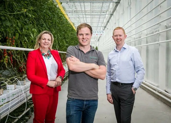 Ireland: Flynn's red tomatoes go green with biomethane - Vimarsana News