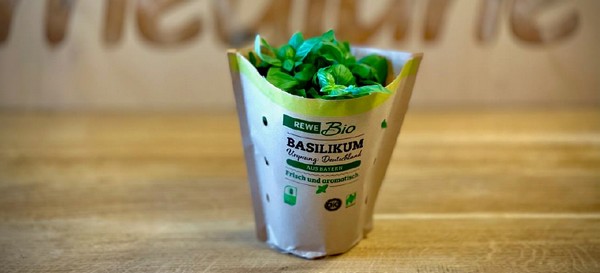 Paper packaging solution now also available as banderole - Vimarsana News