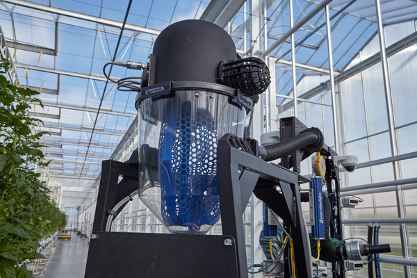 New robot uses vacuum system to harvest tomatoes - Vimarsana News