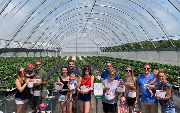 Strawberry farm provides intimate You-Pick experience to the public - Vimarsana News