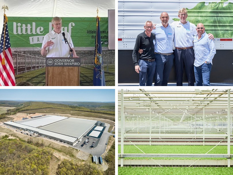 Little Leaf Farms inaugurates greenhouse, will add a new one in fall - Vimarsana News