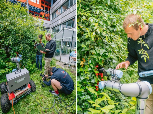 Chat GPT creates robot gripper for harvesting tomatoes - Vimarsana News