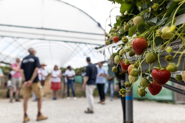Latest innovation in fruit research on show at Fruit Focus 2023 - Vimarsana News